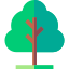 Tree icon